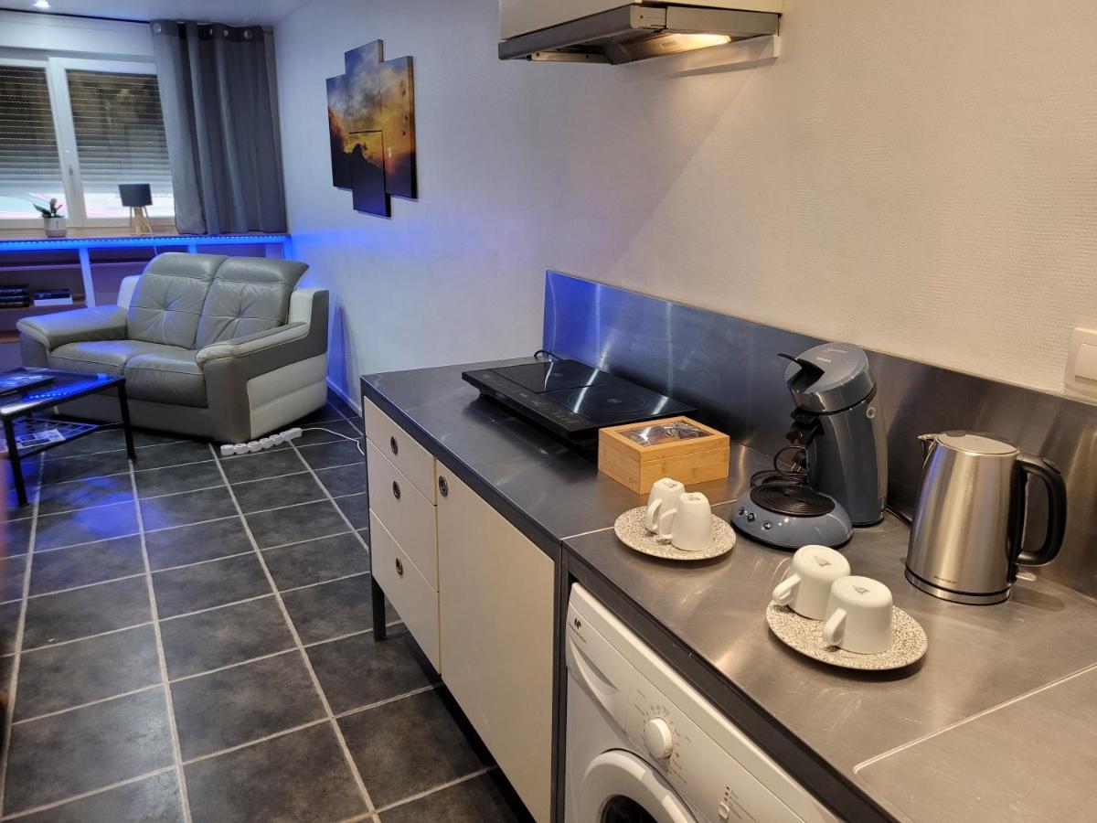 Appartement / Duplex Proche Gare Part-Dieu Lyon Dış mekan fotoğraf